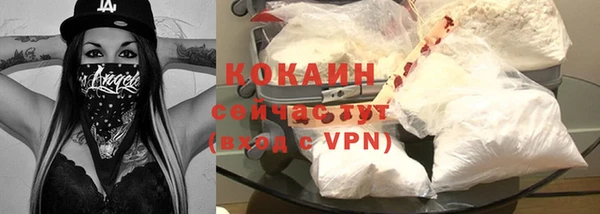 соль ск Богданович