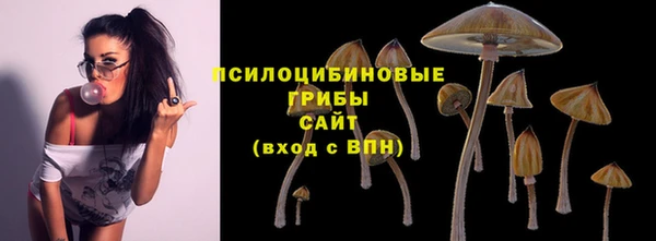 соль ск Богданович
