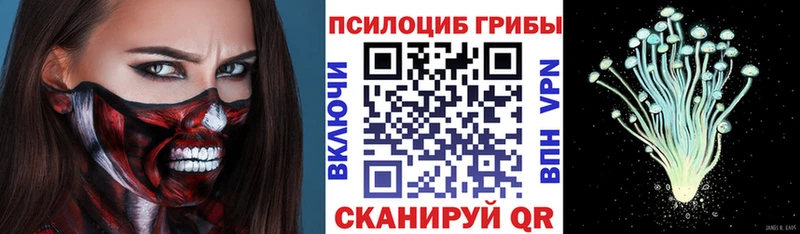 Псилоцибиновые грибы Cubensis  Купить где  Неман 